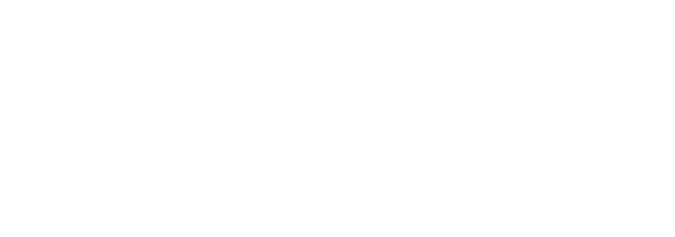 zoom-logo
